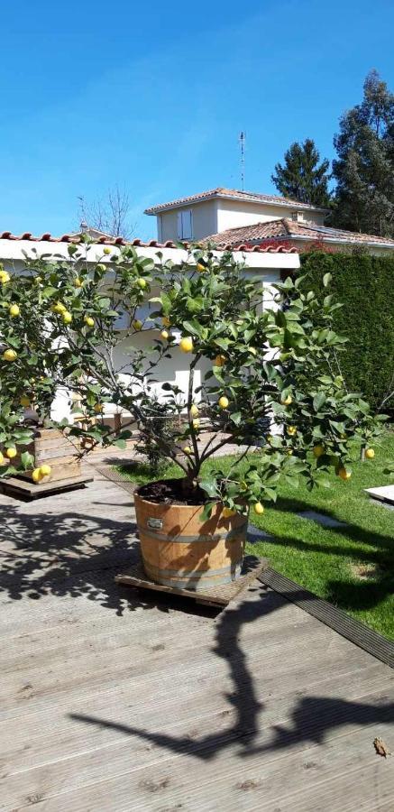 Bed and Breakfast Chez Jeanfi Fronsac  Экстерьер фото