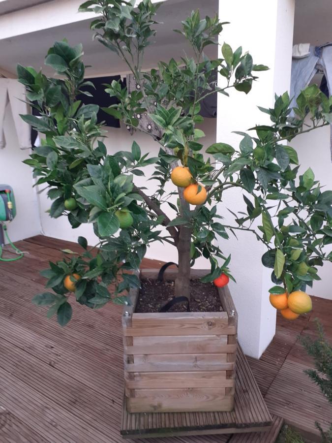 Bed and Breakfast Chez Jeanfi Fronsac  Экстерьер фото